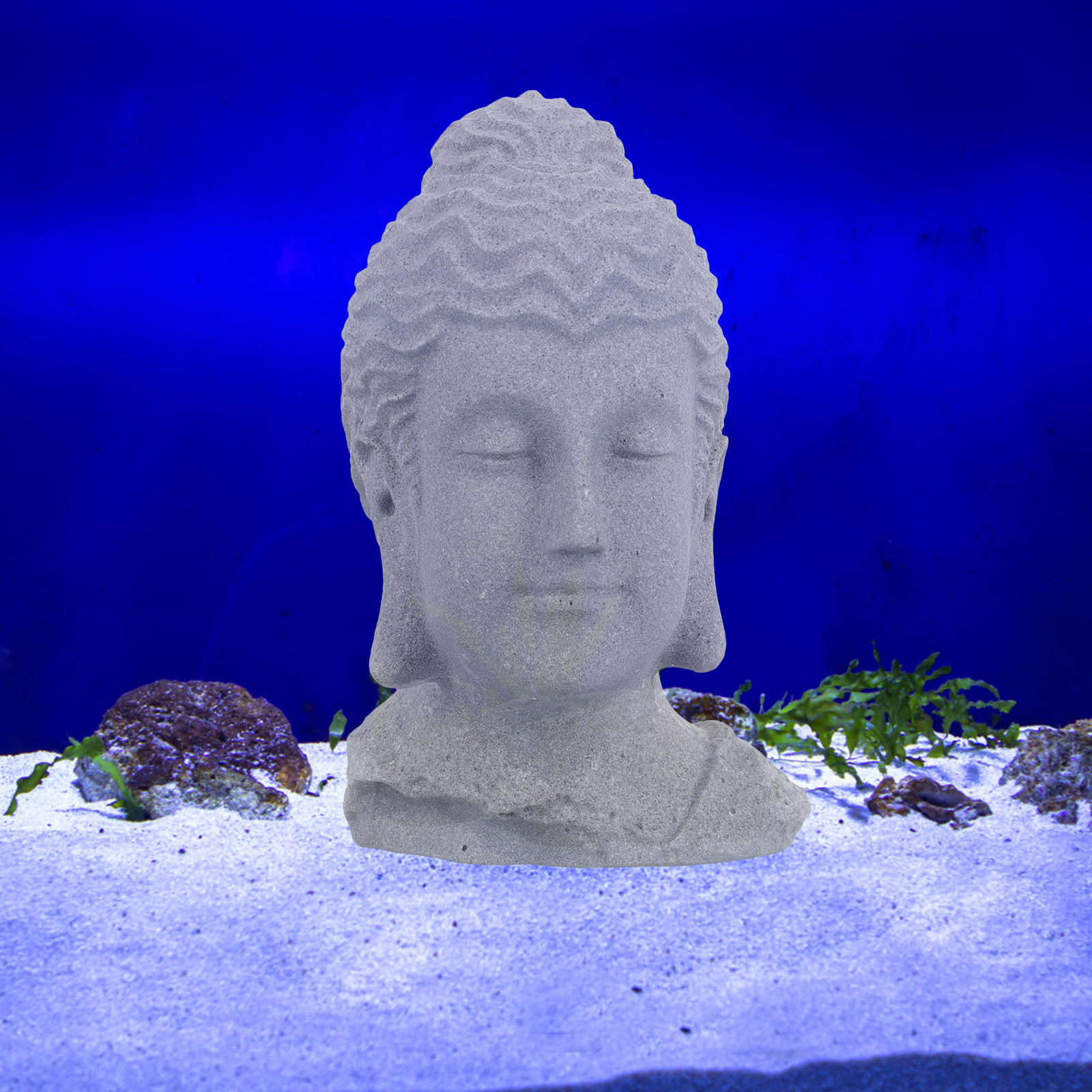 Meditating Buddha Head Statue  - Fish Aquarium Home ulasan dan harga