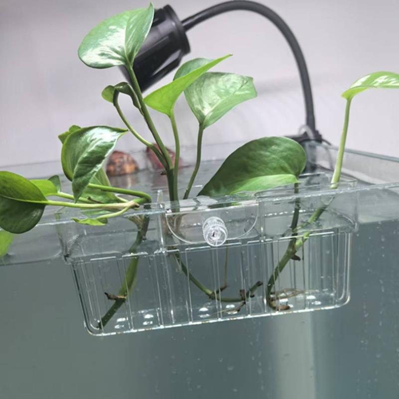 Hydroponic Plant Basket Food G - Fish Aquarium Home ulasan dan harga