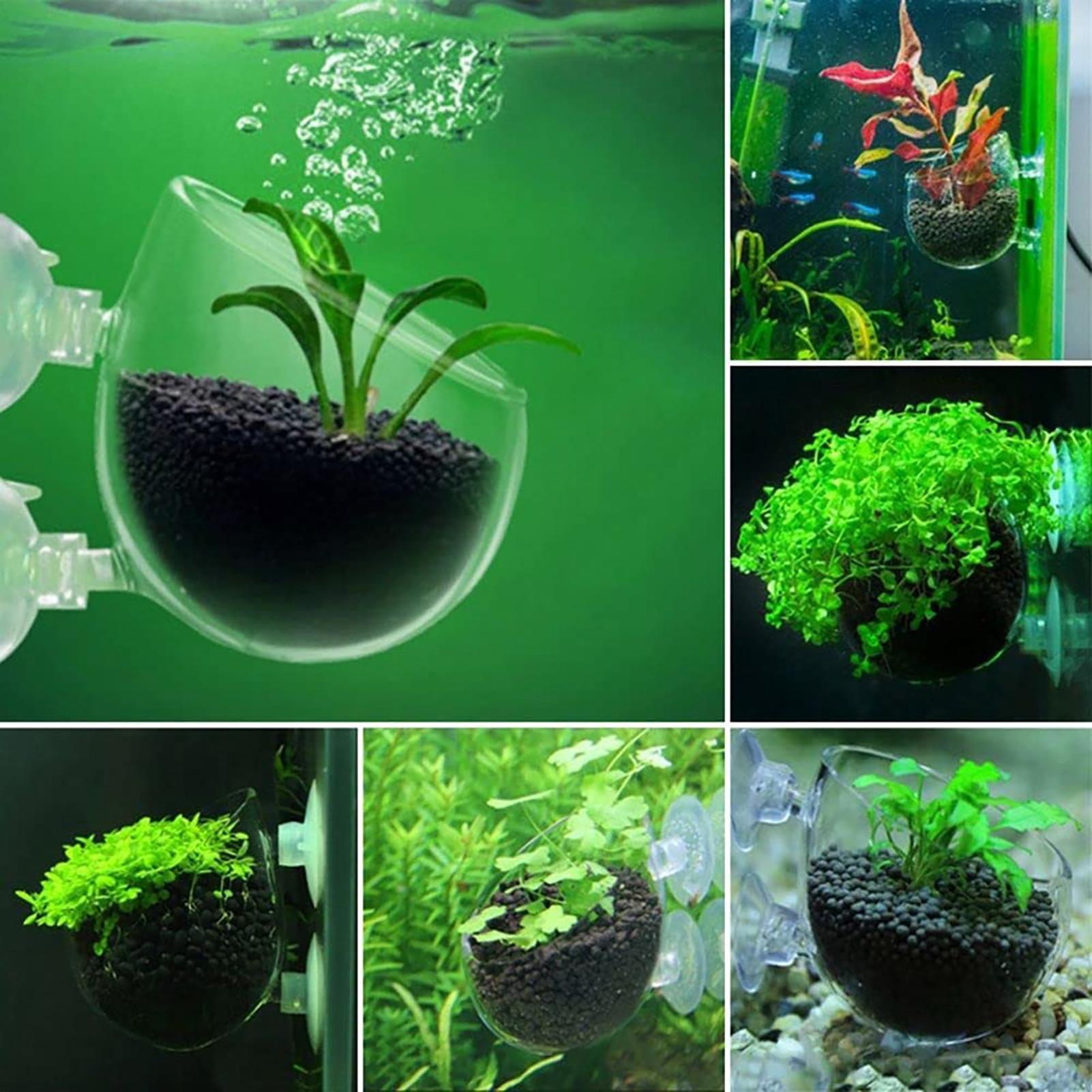 Aquatic Plant Pot Acrylic Aqua - Aquarium Fish Tank ulasan dan harga