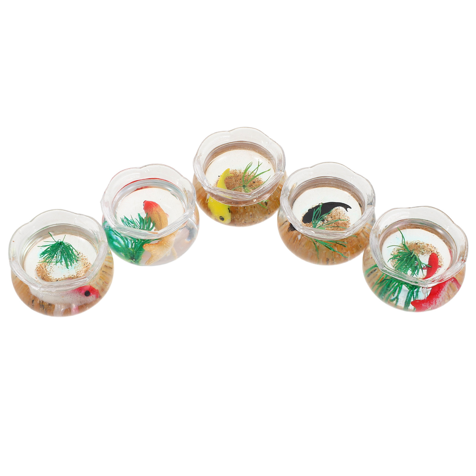 5pcs Miniature Koi Fish Tank:  - Aquarium Plants ulasan dan harga